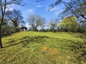 Grundstueck | Bild 3