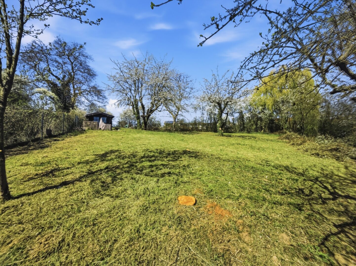 Grundstueck | Bild 3