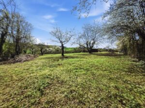 Grundstueck | Bild 2