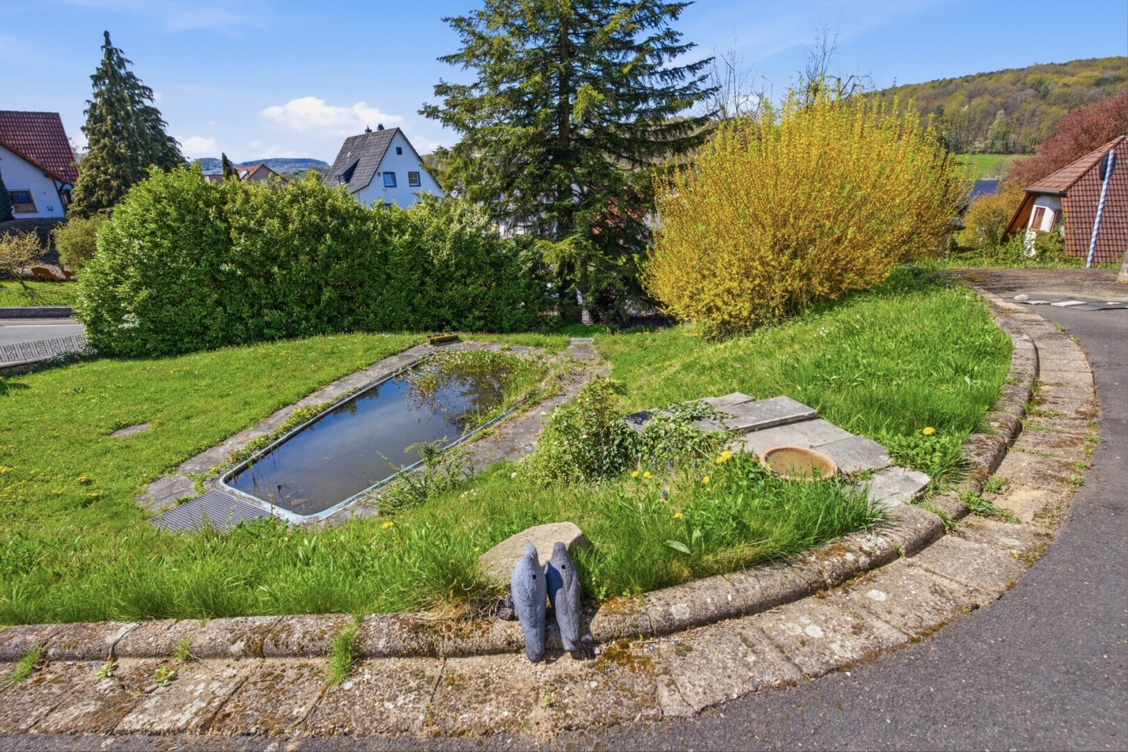 Blick auf den Teich